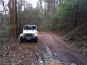 Jeep on the trail